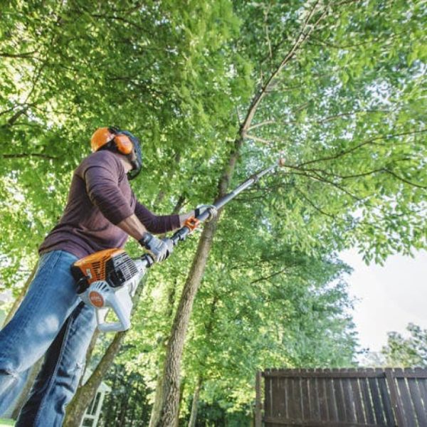 STIHL HT 105 POLE PRUNER - Image 2