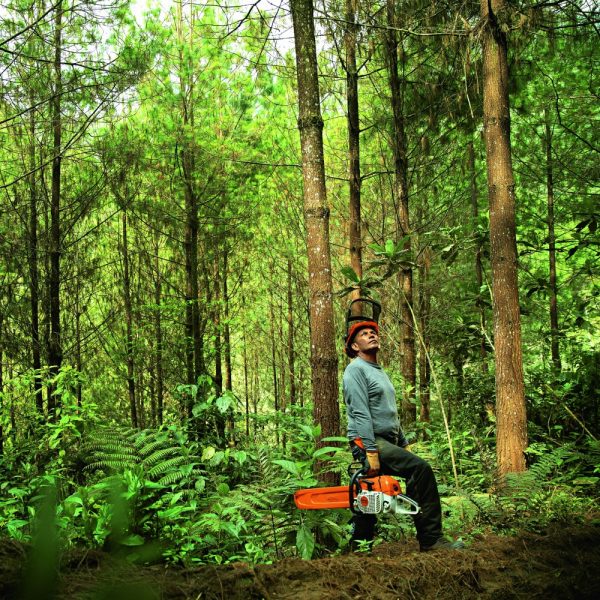 STIHL MS 382 CHAINSAW - Image 2
