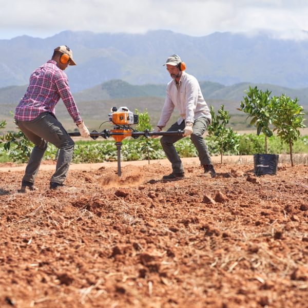 STIHL BT 360 EARTH AUGER - Image 2