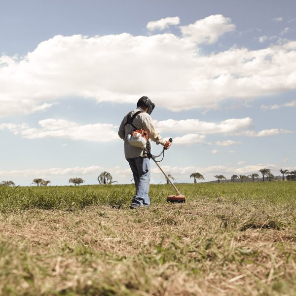 STIHL FS 161 BRUSHCUTTER - Image 2